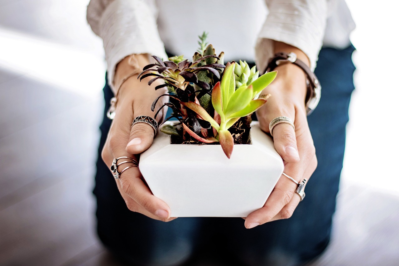 Indoor Gardening – An Eco-Friendly Solution for Urban Dwellers?